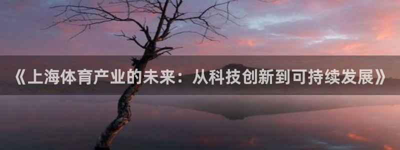 xc体育