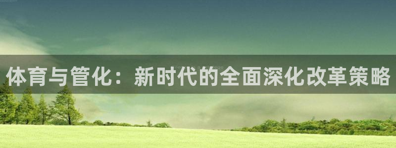 xc体育app官方网站