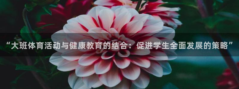 xc体育app官方网站