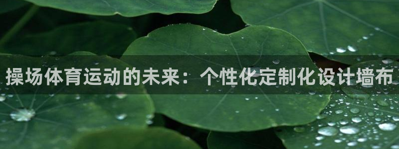 xc体育