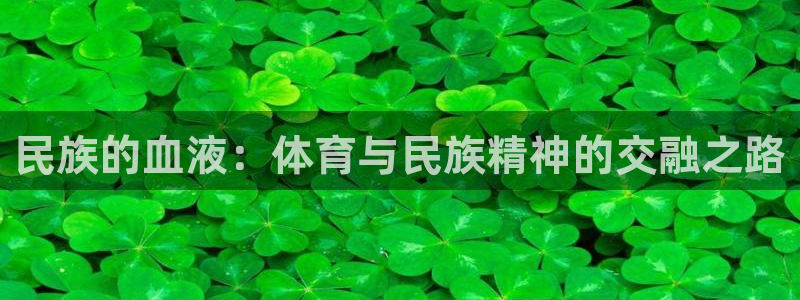 xc体育