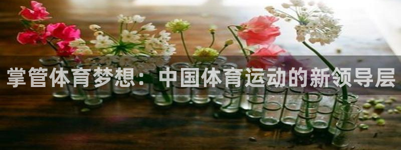 xc体育