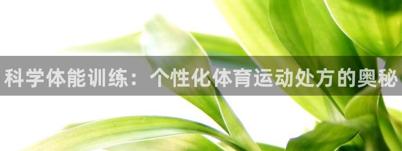 xc体育app官方网站