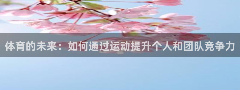 xc体育