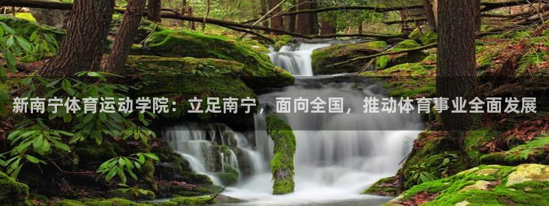 xc体育
