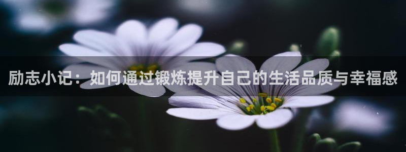 xc体育app官方网站
