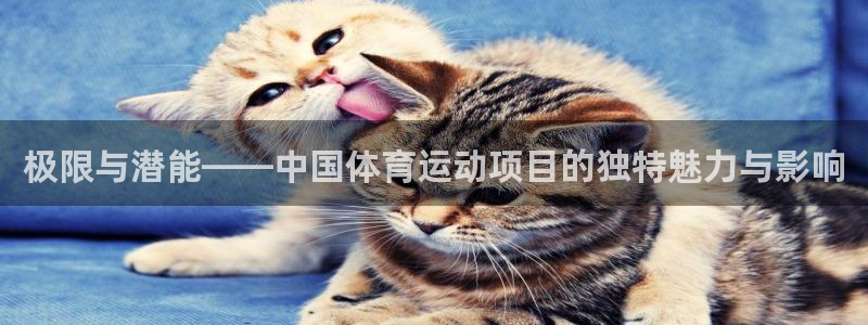 xc体育
