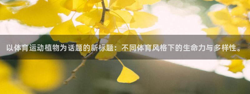 xc体育app官方网站