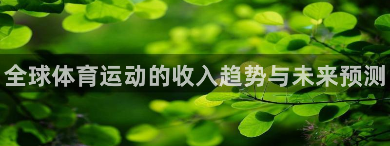 xc体育app官方网站