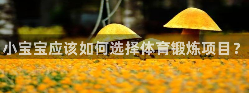 xc体育app官方网站