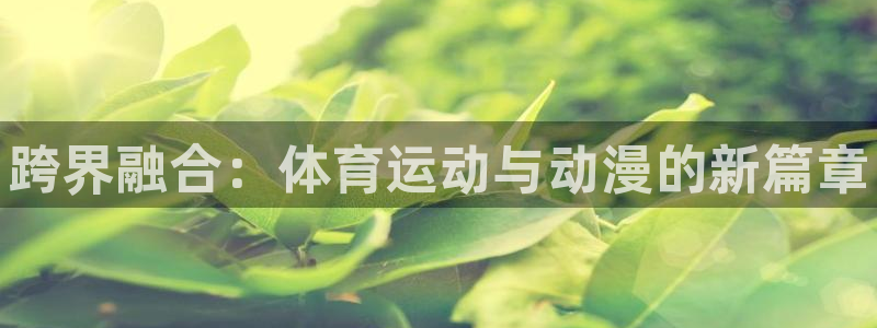 xc体育
