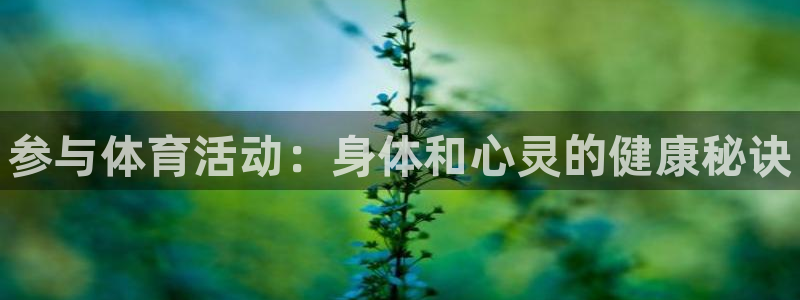 xc体育app官方网站
