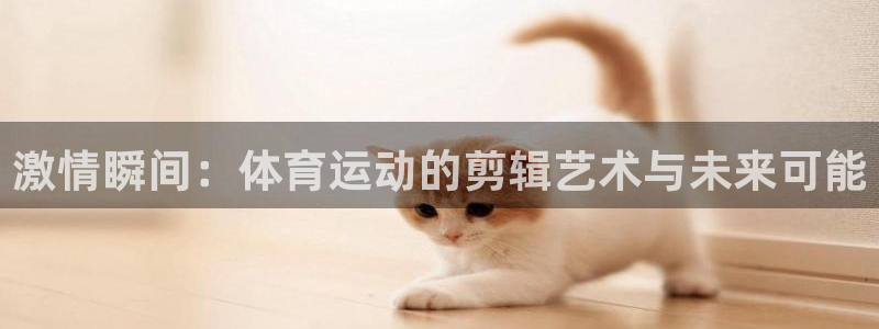 xc体育
