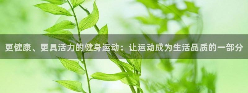 xc体育