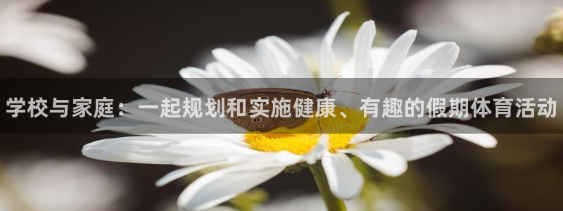 xc体育app官方网站