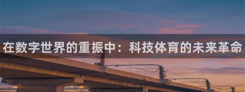 xc体育