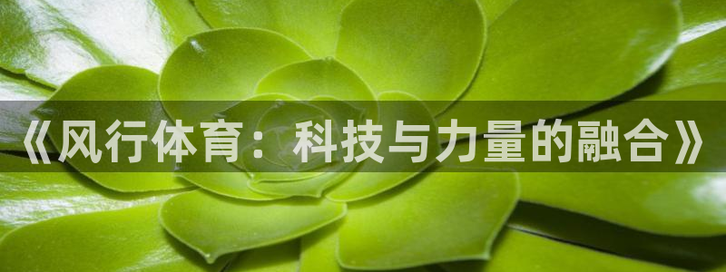 xc体育app官方网站