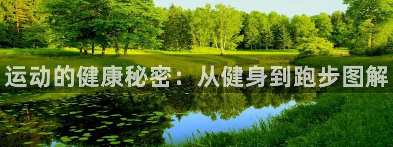 xc体育
