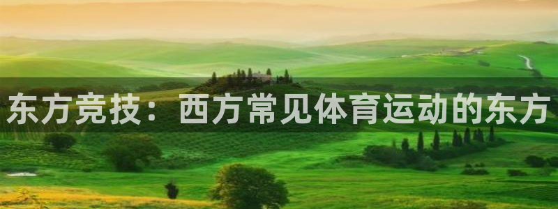 xc体育