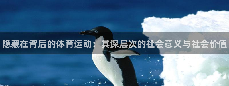 xc体育app官方网站