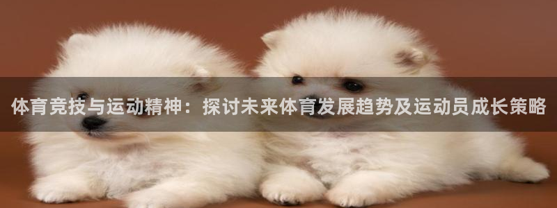 xc体育app官方网站
