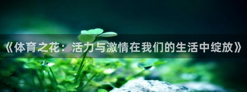 xc体育app官方网站