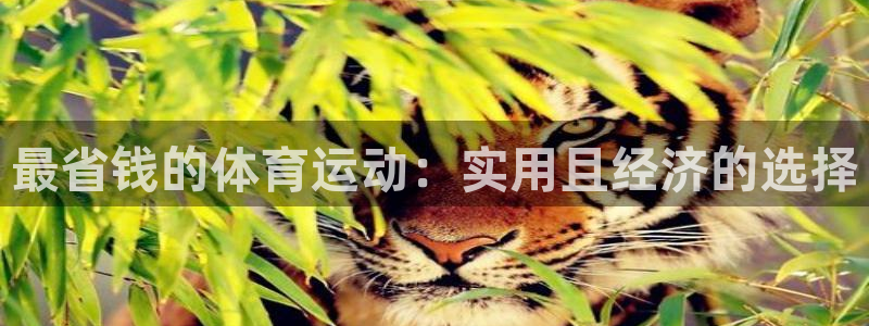 xc体育app官方网站