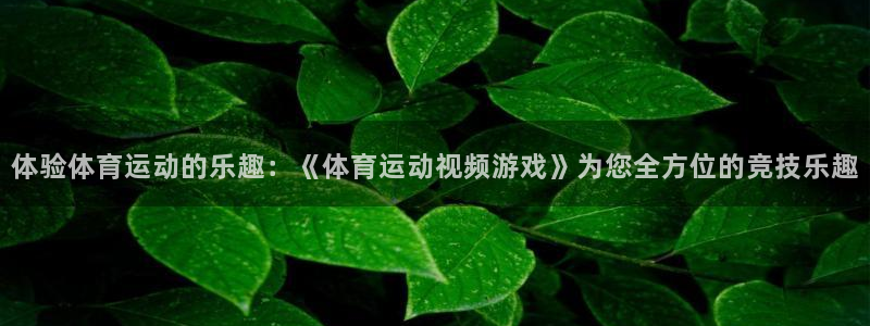 xc体育app官方网站