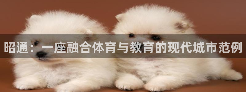 xc体育
