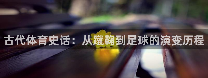 xc体育