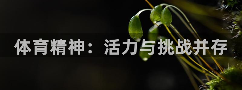 xc体育
