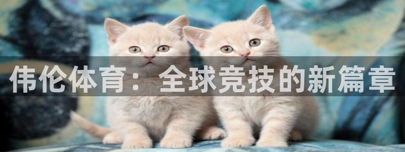 xc体育app官方网站