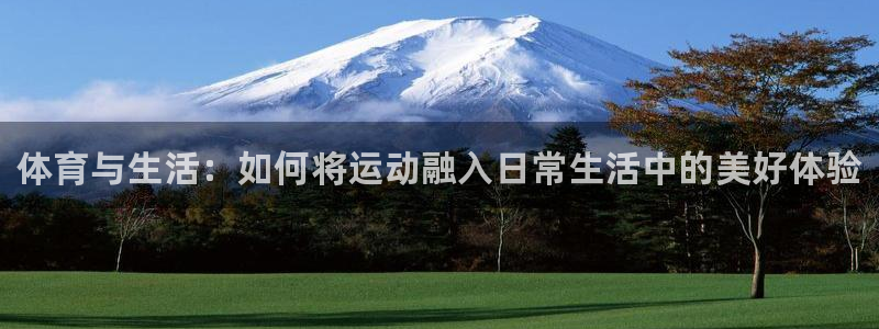 xc体育