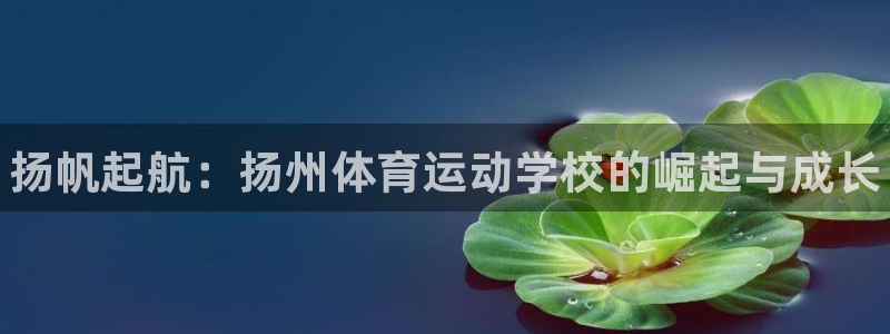 xc体育app官方网站