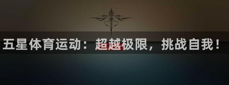 xc体育