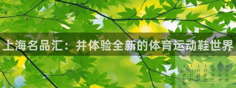 xc体育app官方网站