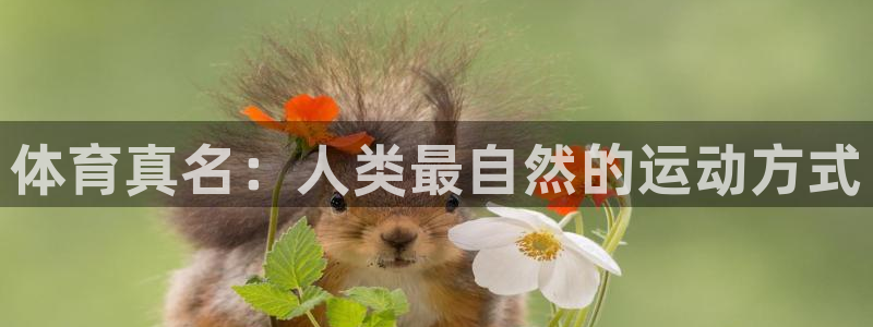xc体育app官方网站