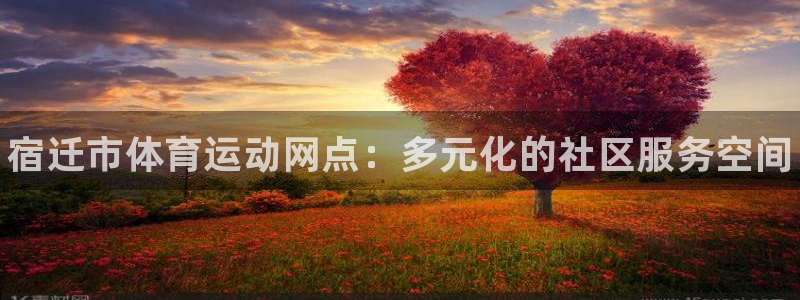 xc体育