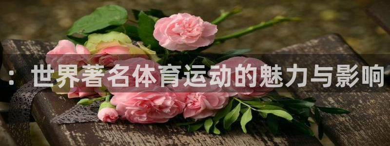 xc体育app官方网站