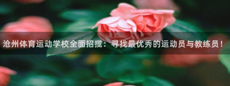 xc体育